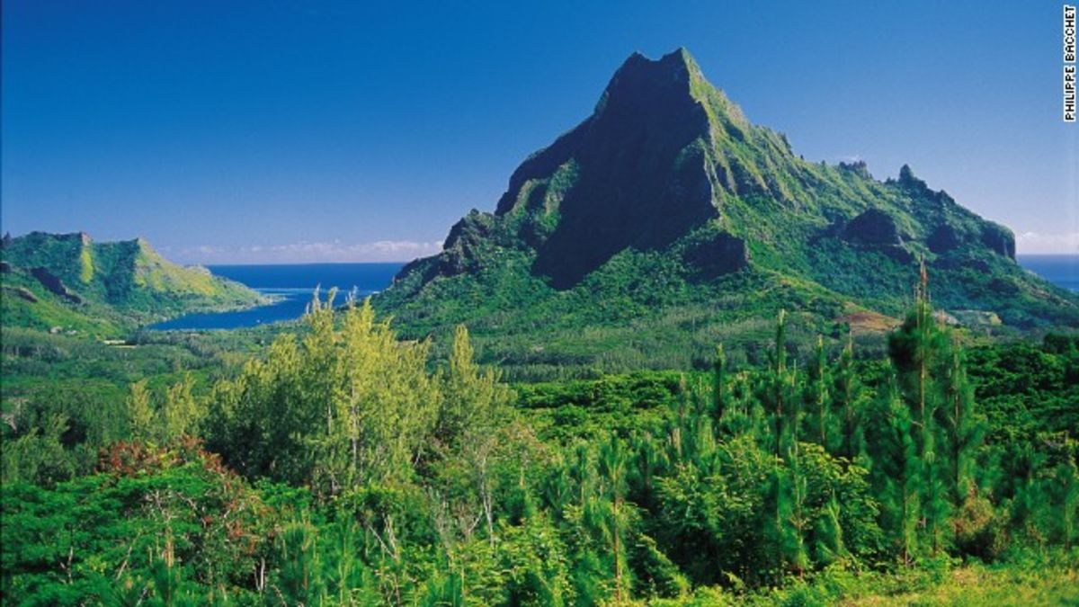 a l'interieure de l'ile, vers le centre, les forets tropiques sont denses