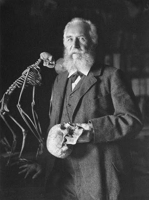 Ernst Heinrich