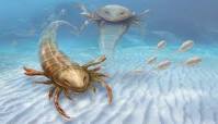 Eurypterida
