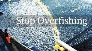 What should be done to protect the environment and the industry in particular