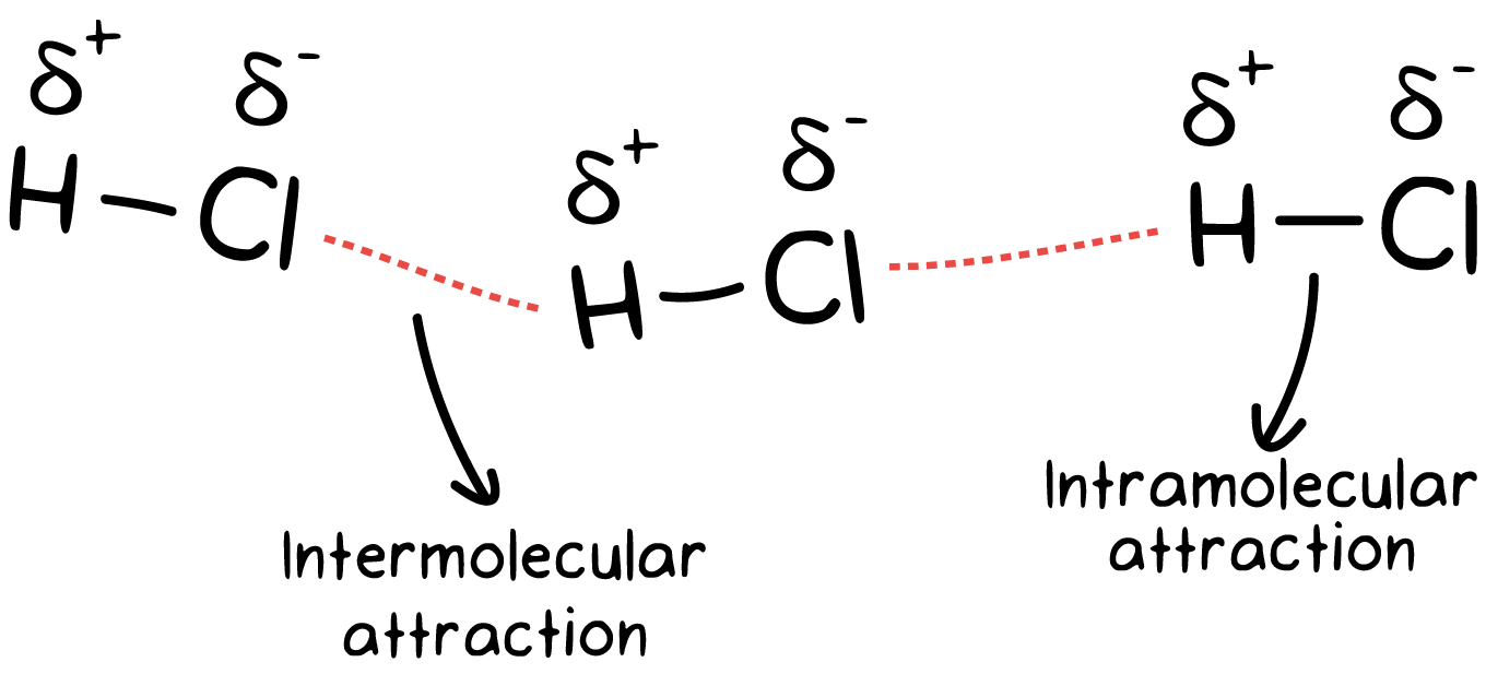 Intramolecular forces: tractive and repulsive forces within a molecule, compound, or polyatomic ion