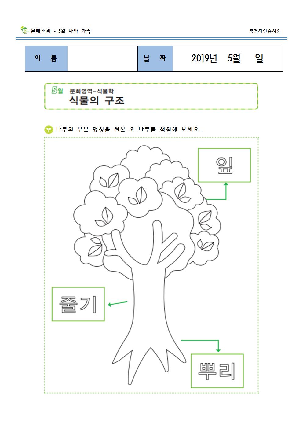 식물의 구조