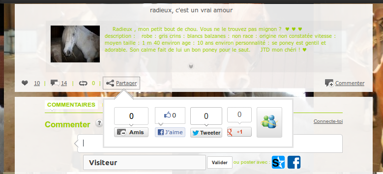 Mes passions