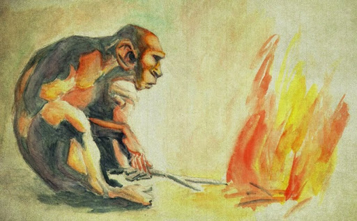 Homo erectus:
   Descubrimiento del fuego