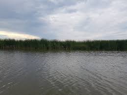 Big Creek National Wildlife Area