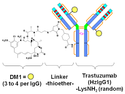 HER-2 inhibiting
Monoclonal antibodies