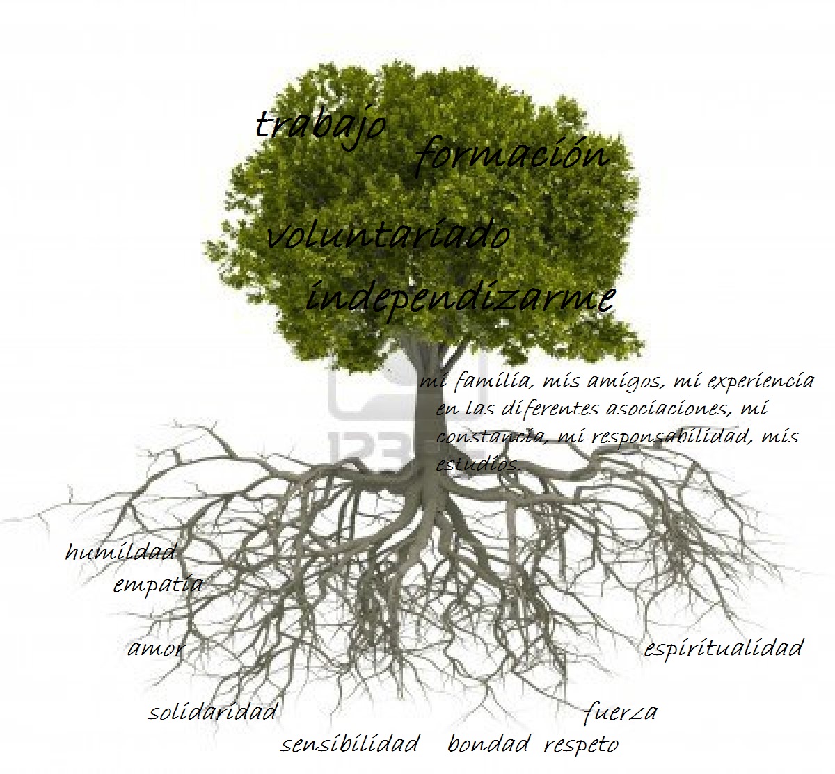 Raices fuertes ?