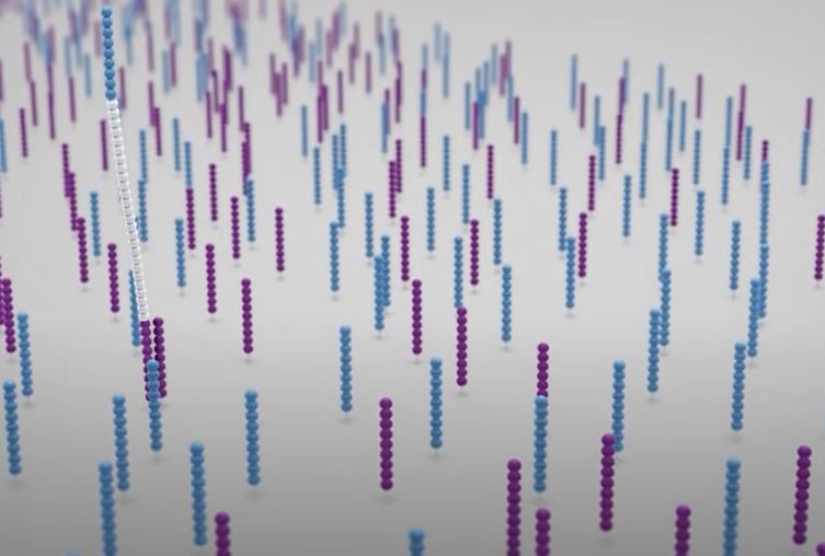 the fragments hybridize to the surface of the flow cell