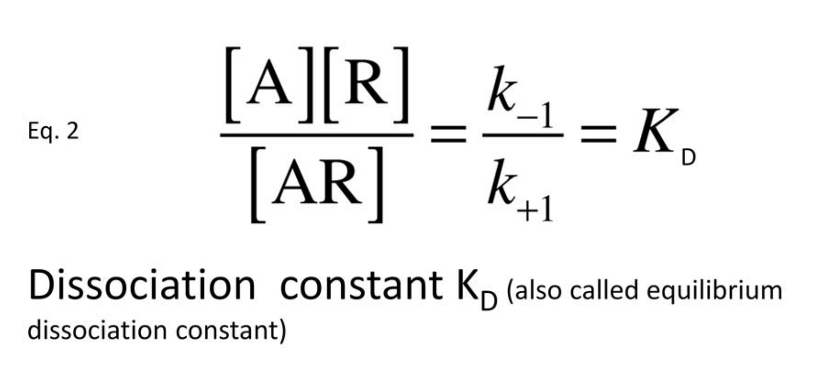 Eq. 2: the ratio of
occupied receptors to unbound receptor and drug equals the ratio of dissociation and
association rate con