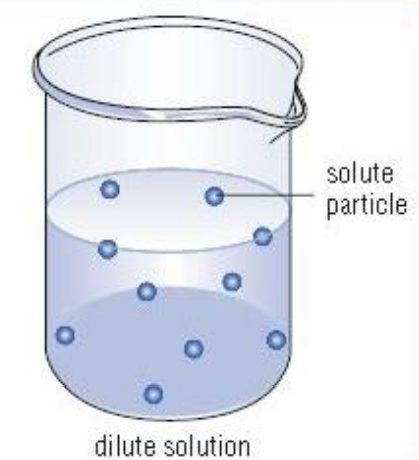 DILUTE SOLUTION: a solution with a relatively 
small quantity of solute compared to the volume of 
the solution