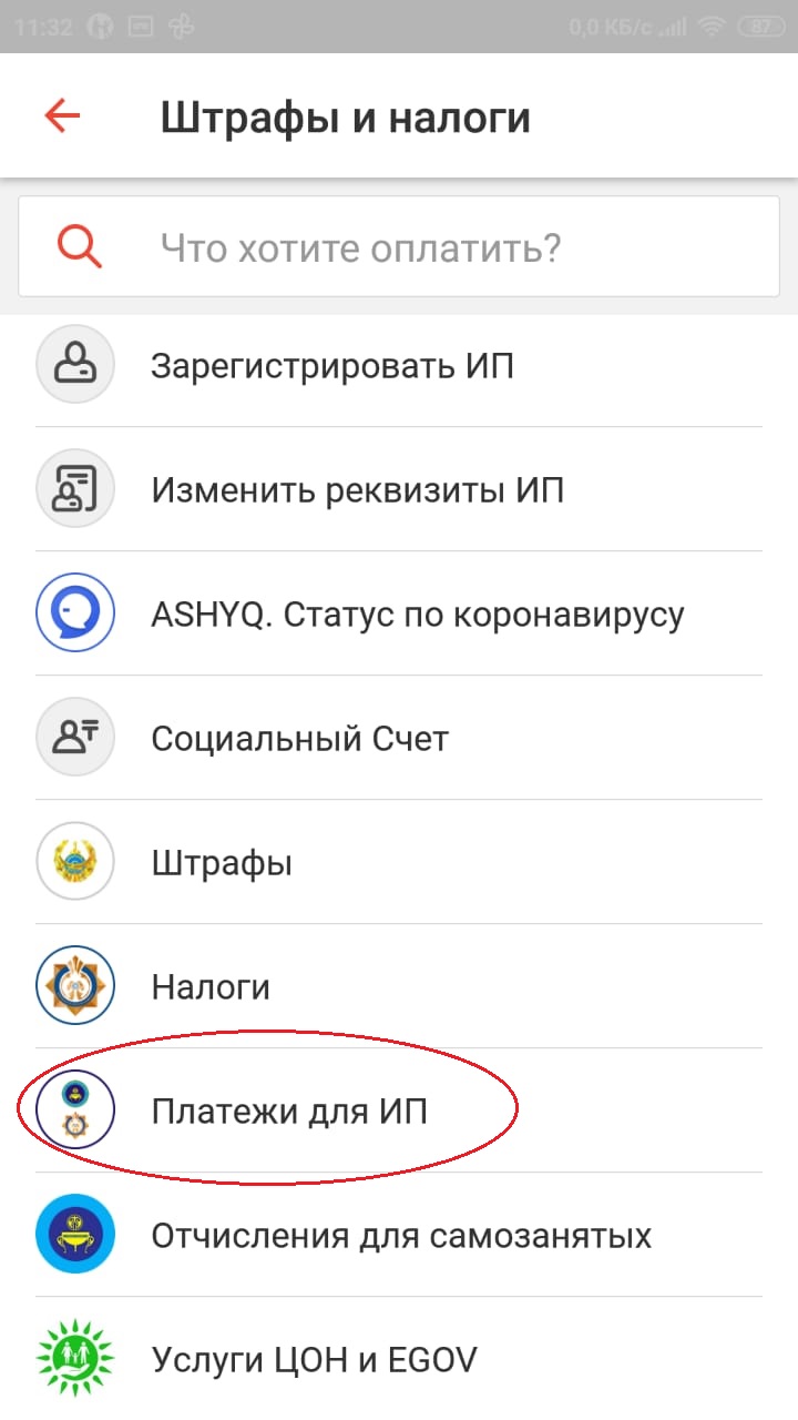 Строка: "Платежи для ИП"