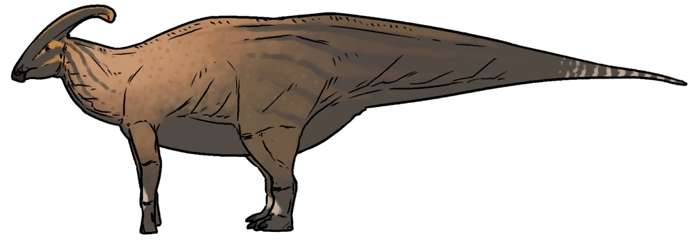 Parasaurolophus walkeri