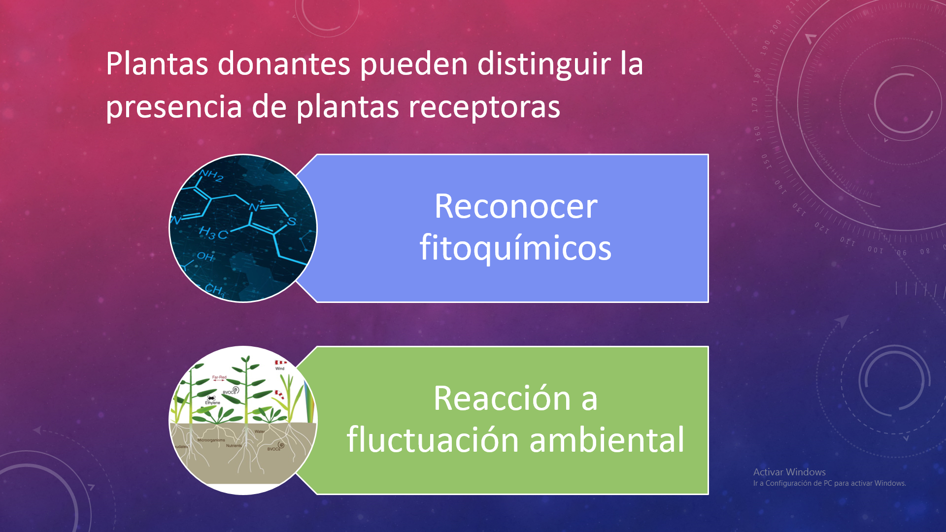 Especie receptora probable o potencial