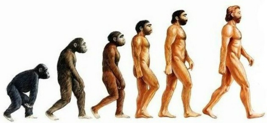 Nace la teoría de Charles Darwin