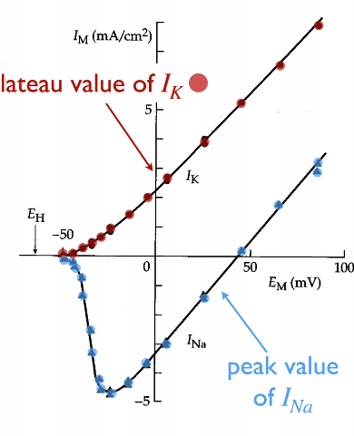 peaks at Na becomes given a voltage and also where I will eventually steady given voltage