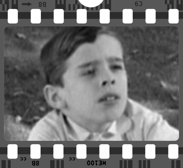 Dill - the neighbor