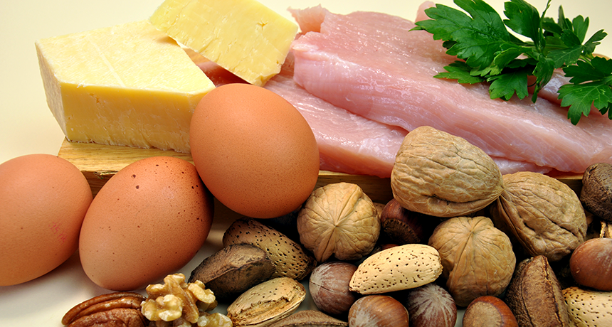Foods that contain proteins