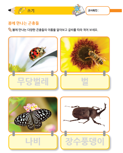 (누리-언어) 봄에 만나는 곤충