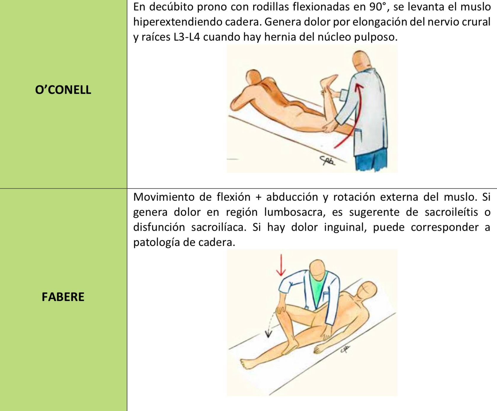 O'CONELL / FABERE