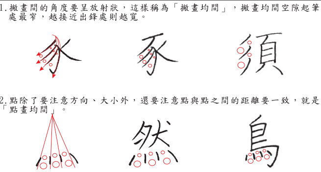 分支主題