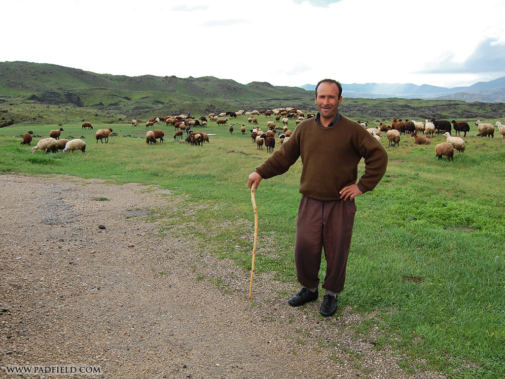 Be the world's shepherd