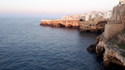 Pertuso of Rafaniedd '