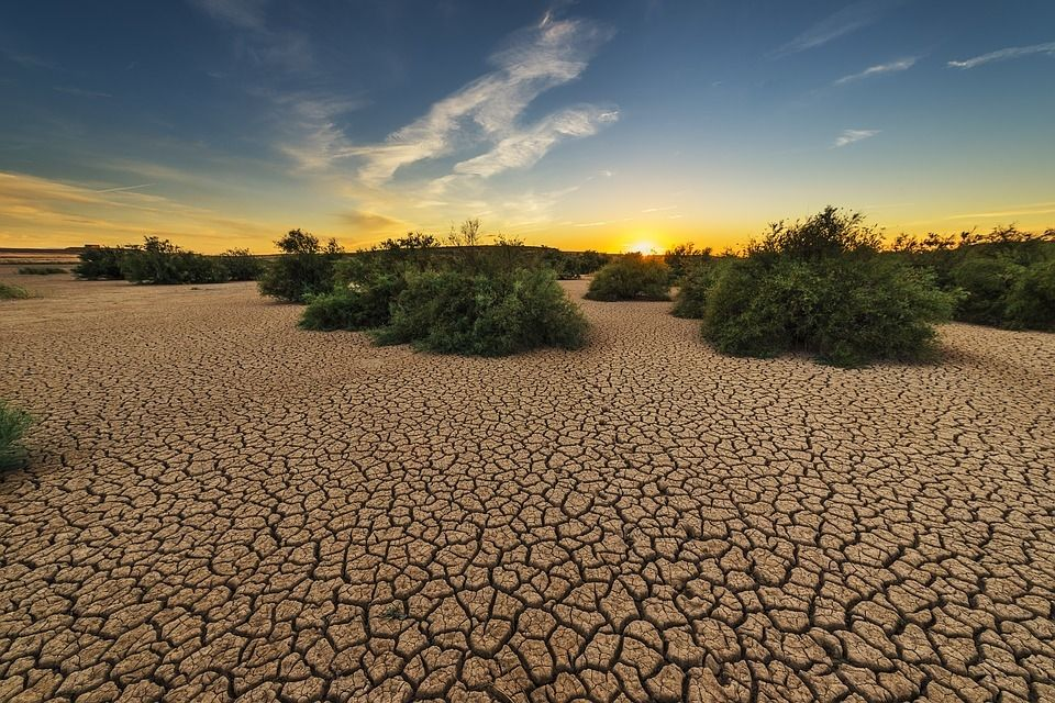 Land Degradation