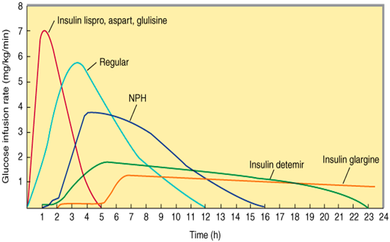 INSULIN PREPARATIONS: