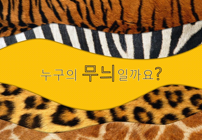 (이야기나누기) 누구의 무늬일까요