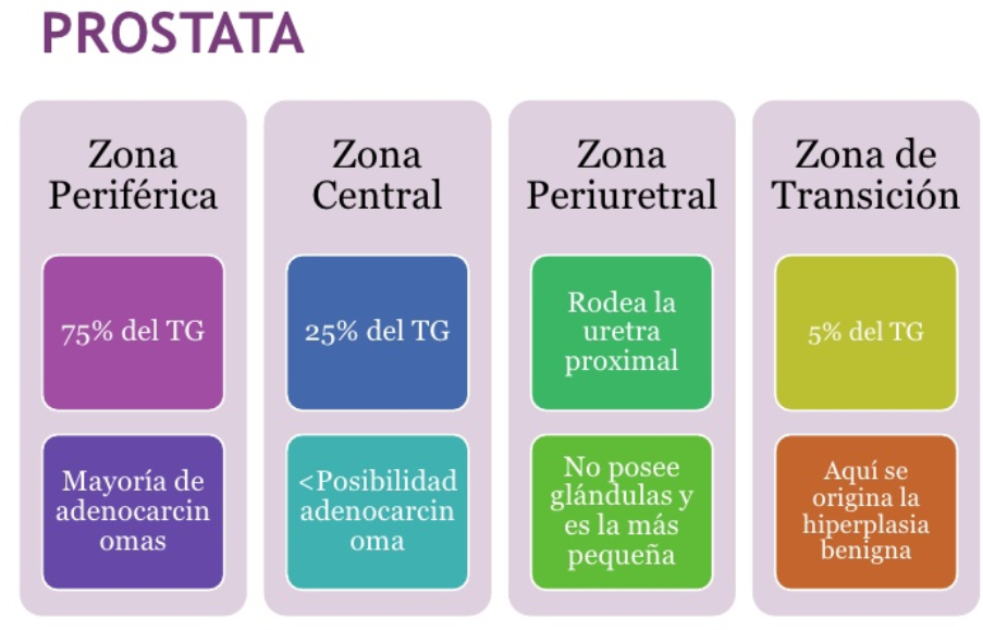 summary point