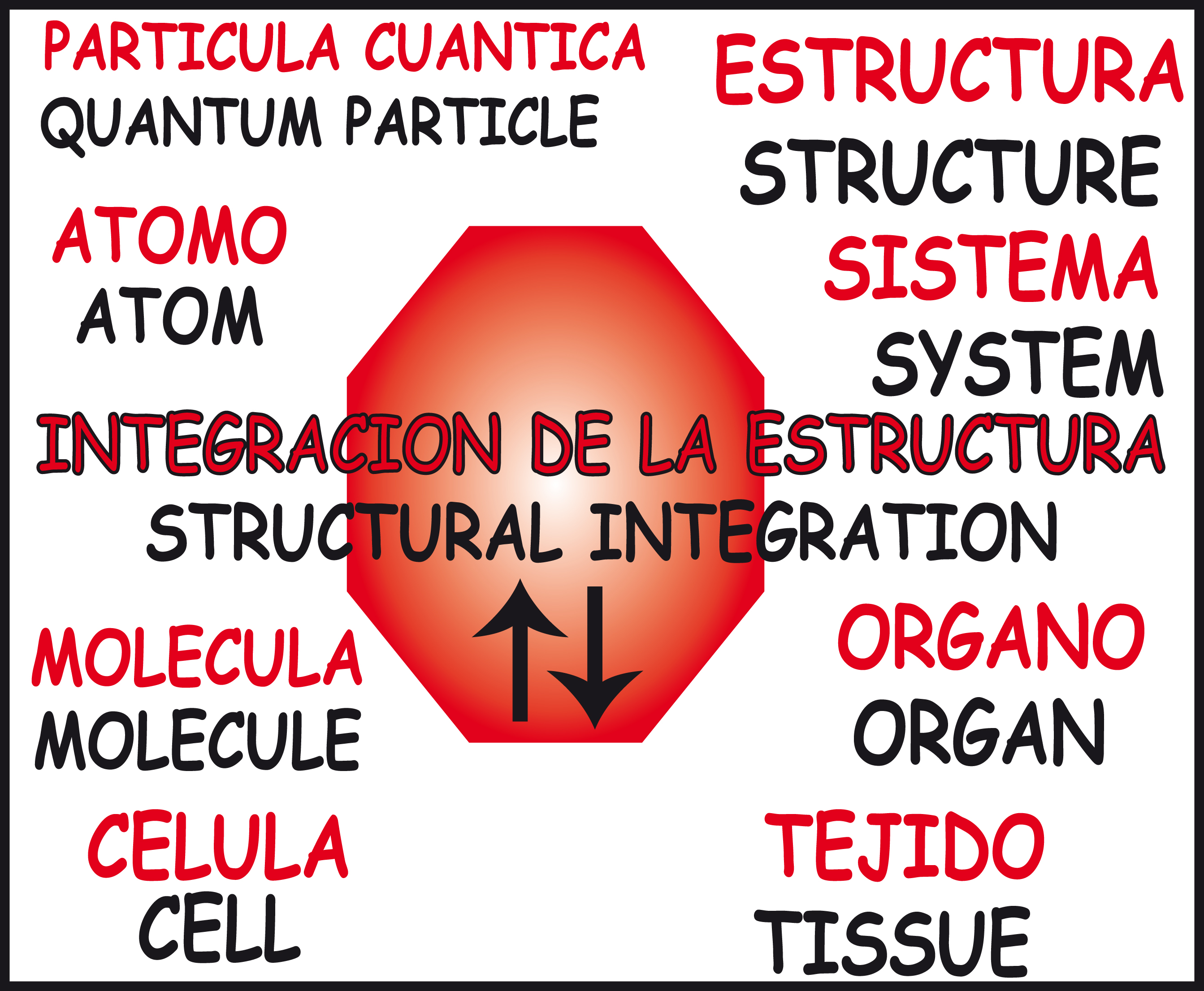 Integración de la estructura