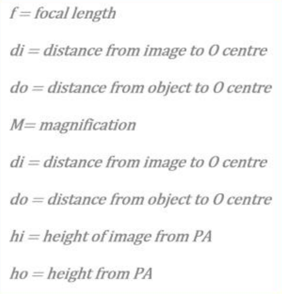 Terminology