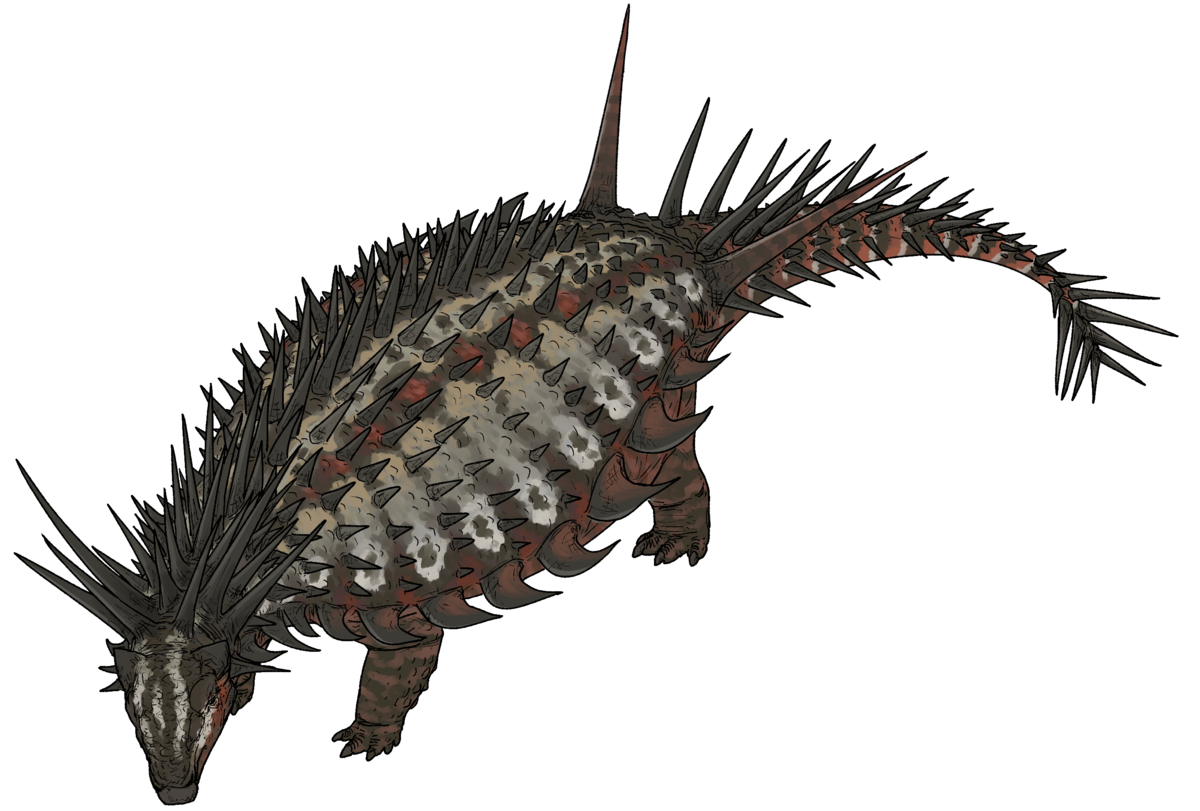 Spicomellus afer