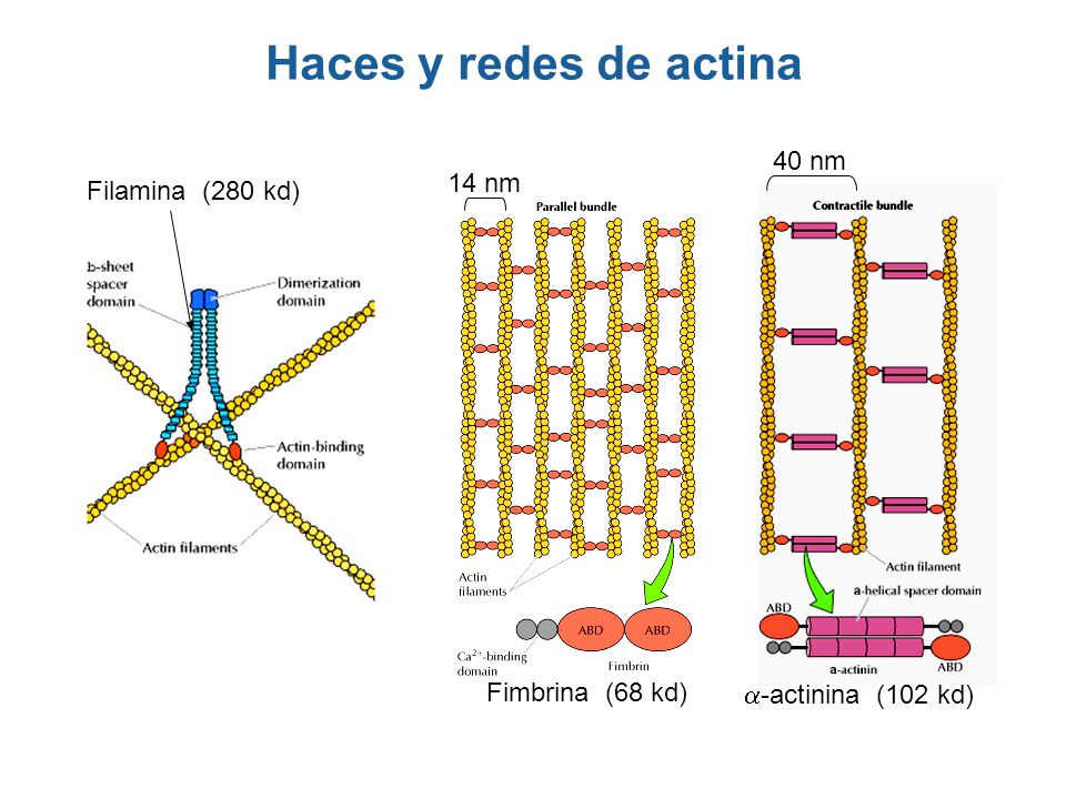 Configuraciones