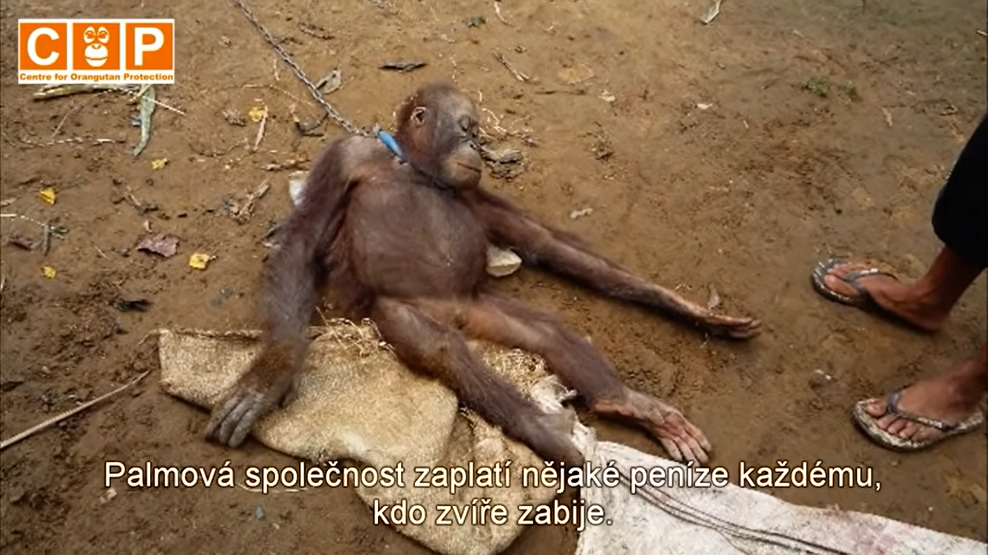 významná ztráta
biologické rozmanitosti
ohrožení populací