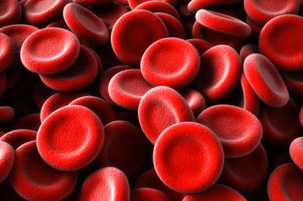 Red blood cells