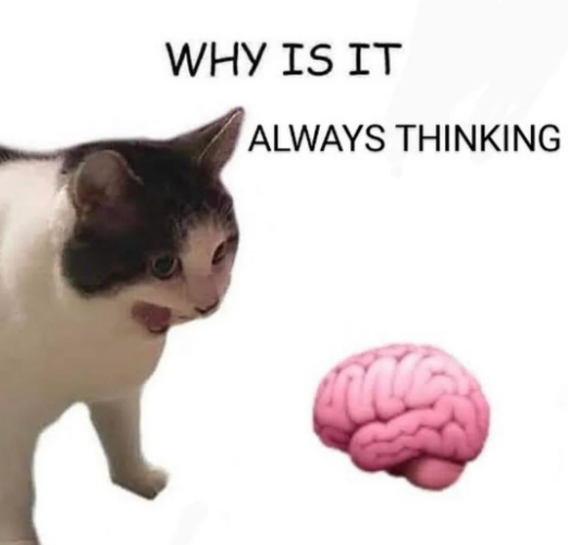 Social Media Meme Demonstrating the Real World Implications of the Theory