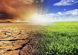 Environmental issues