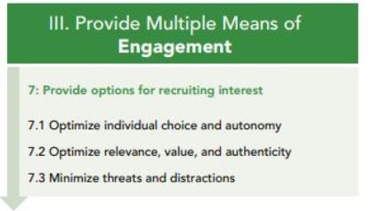 3. Provide multiple means of engagement