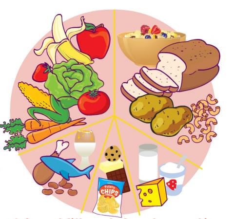 Enough all of nutriment help you grow up completely: STARCH, ROUGHAGE, FAT, PROTEIN, GRAIN, LEGUMES, DAIRY, VEGETABLE