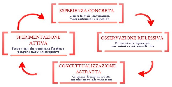 Le quattro fasi dell'apprendimento