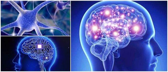 LOS NEUROTRANSMISORES