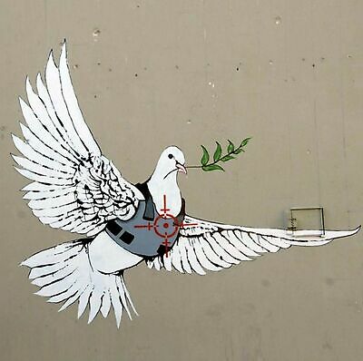 The armored Dove