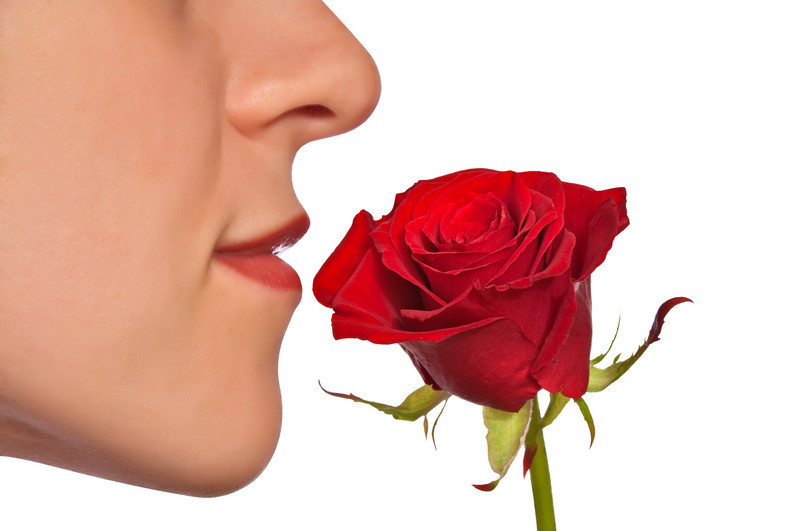 smells