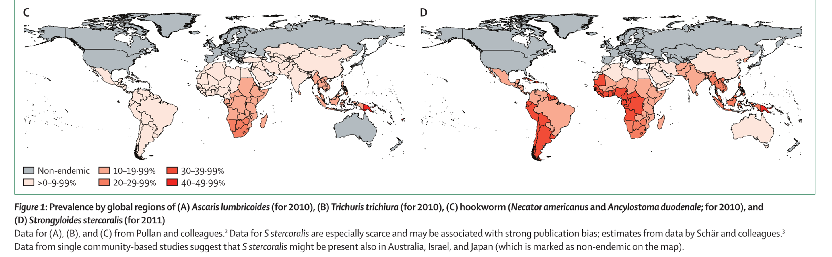 Epidemiologia da Ancilostomíase e outras STH Mundiaias