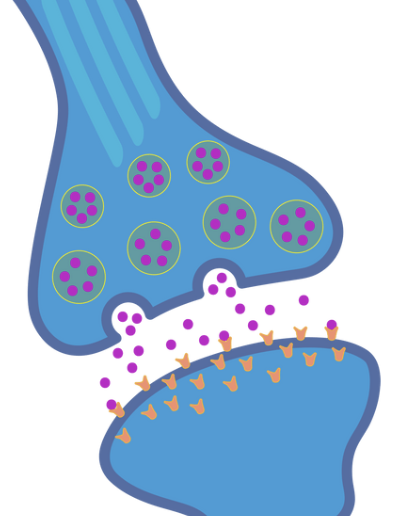 D2 Receptor Antagonists