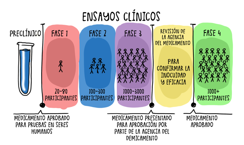 Etapa de la creación de un fármaco