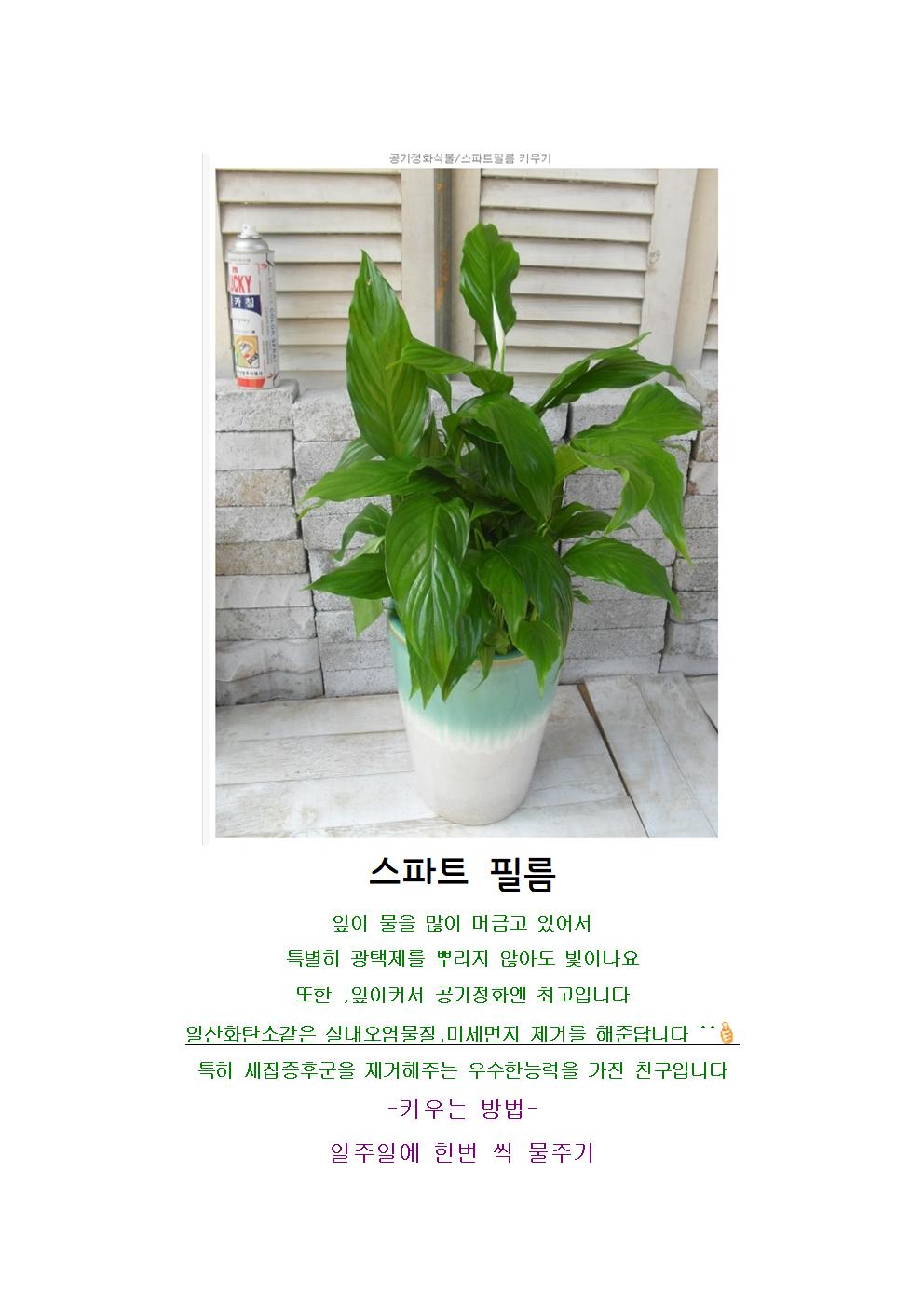 스파트필름