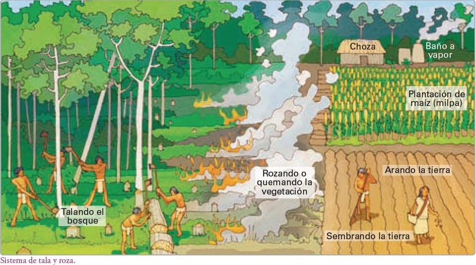 Agricultura migratoria