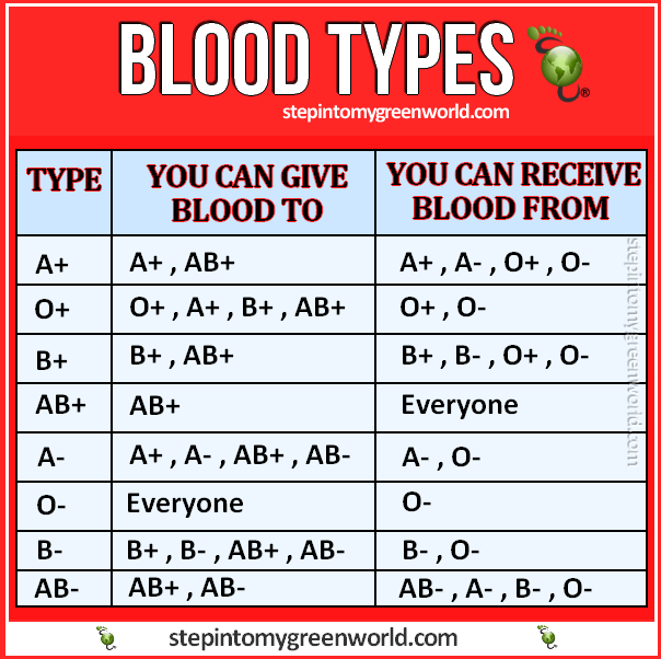 Blood types-who can receive from who and who can donate